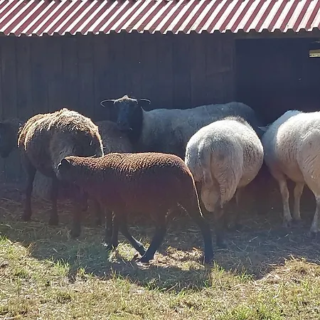 Rekreacni Stredisko Rojana *